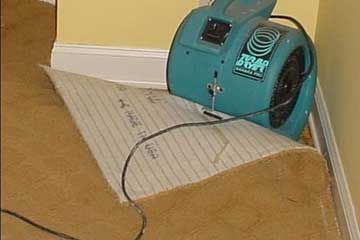 Post-flood floor and sub-floor restorations